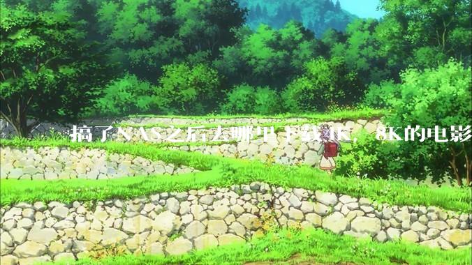 搞了NAS之后去哪里下载4K，8K的电影？