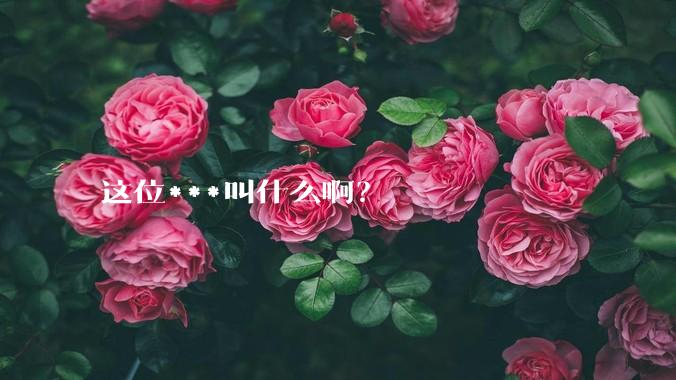 这位***叫什么啊？