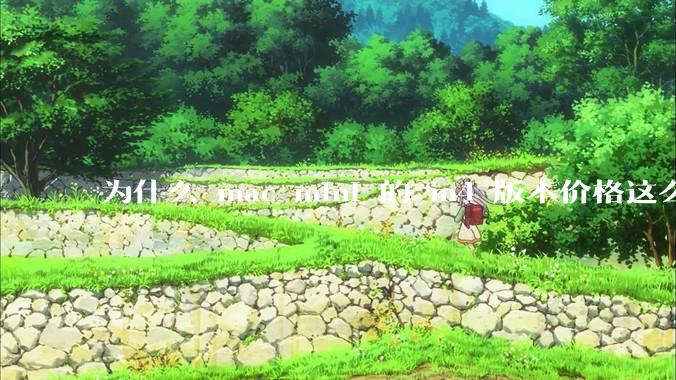 为什么 mac mini 的 m4 版本价格这么低呢？