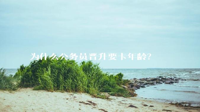为什么公务员晋升要卡年龄？