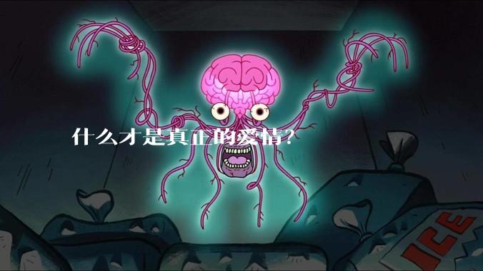 什么才是真正的爱情？