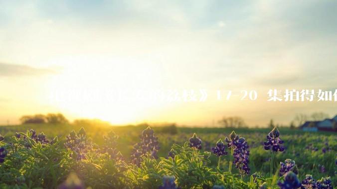 电视剧《长安的荔枝》17-20 集拍得如何？有哪些值得关注的剧情点？