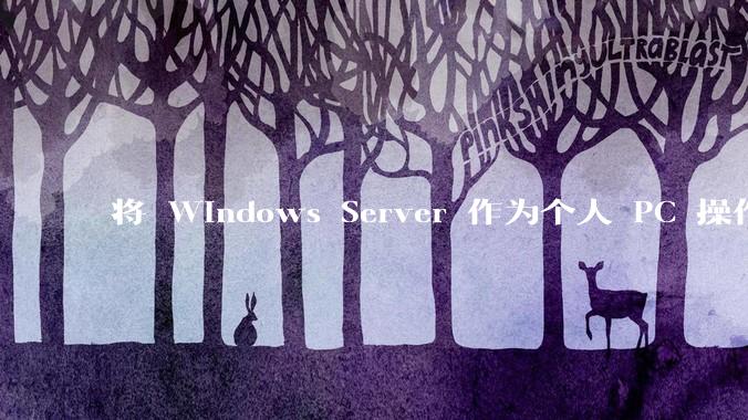 将 Windows Server 作为个人 PC 操作系统来用是怎样的体验？