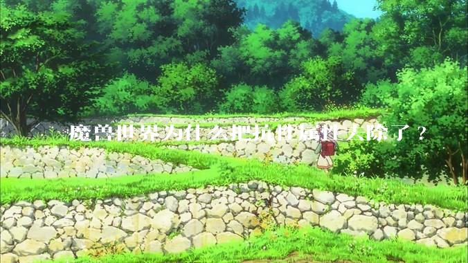 魔兽世界为什么把抗性属性去除了?