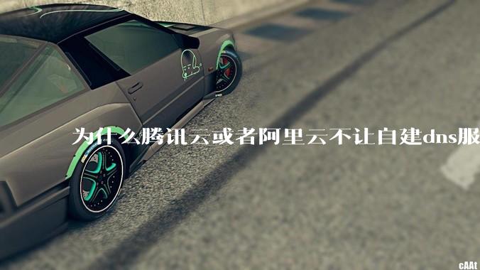 为什么腾讯云或者阿里云不让自建dns服务器?
