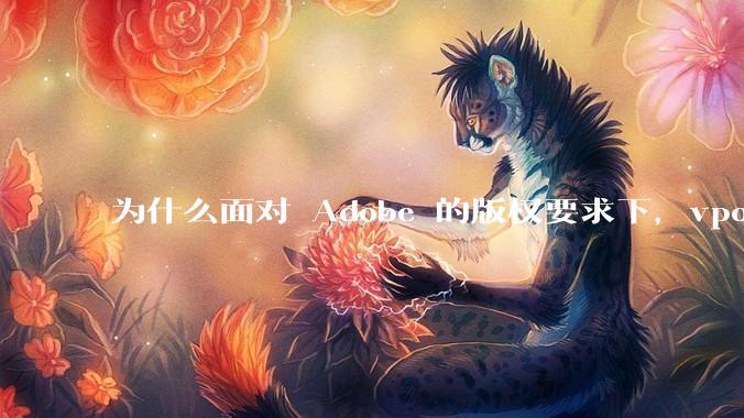 为什么面对 Adobe 的版权要求下，vposy 大神还能从容不迫？