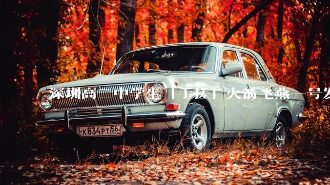 深圳高二中学生「手搓」火箭飞燕一号发射成功，突破 10KM 海拔高度，这属于什么水平？手搓火箭有多难？