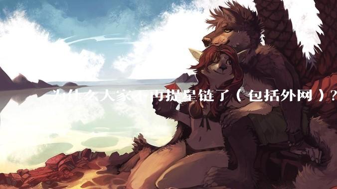 为什么大家不再提星链了（包括外网）？