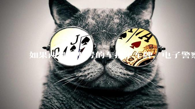 如果两辆同型号的车换了车牌，电子警察会发现吗？